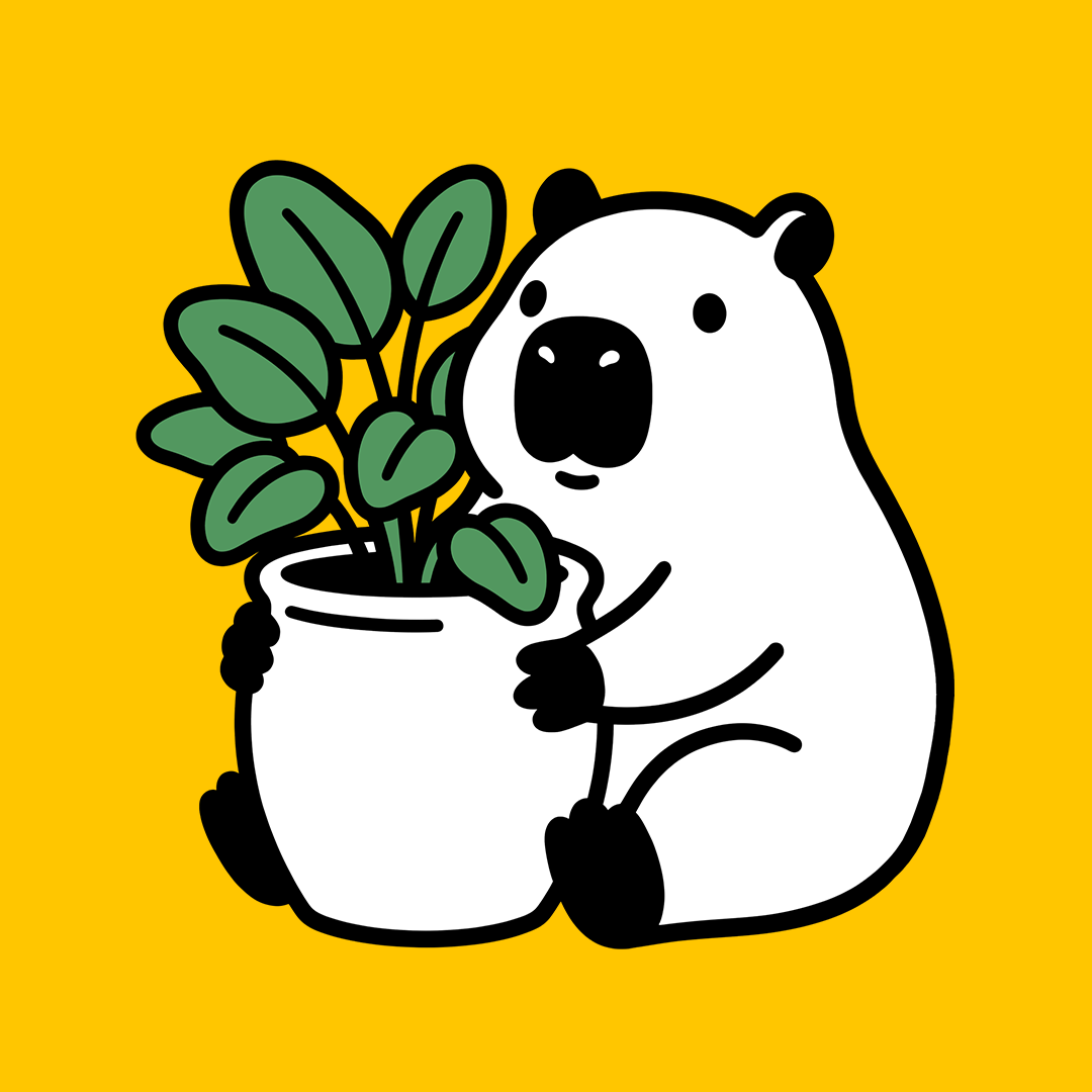 plant